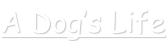 shapeimage_7_link_0